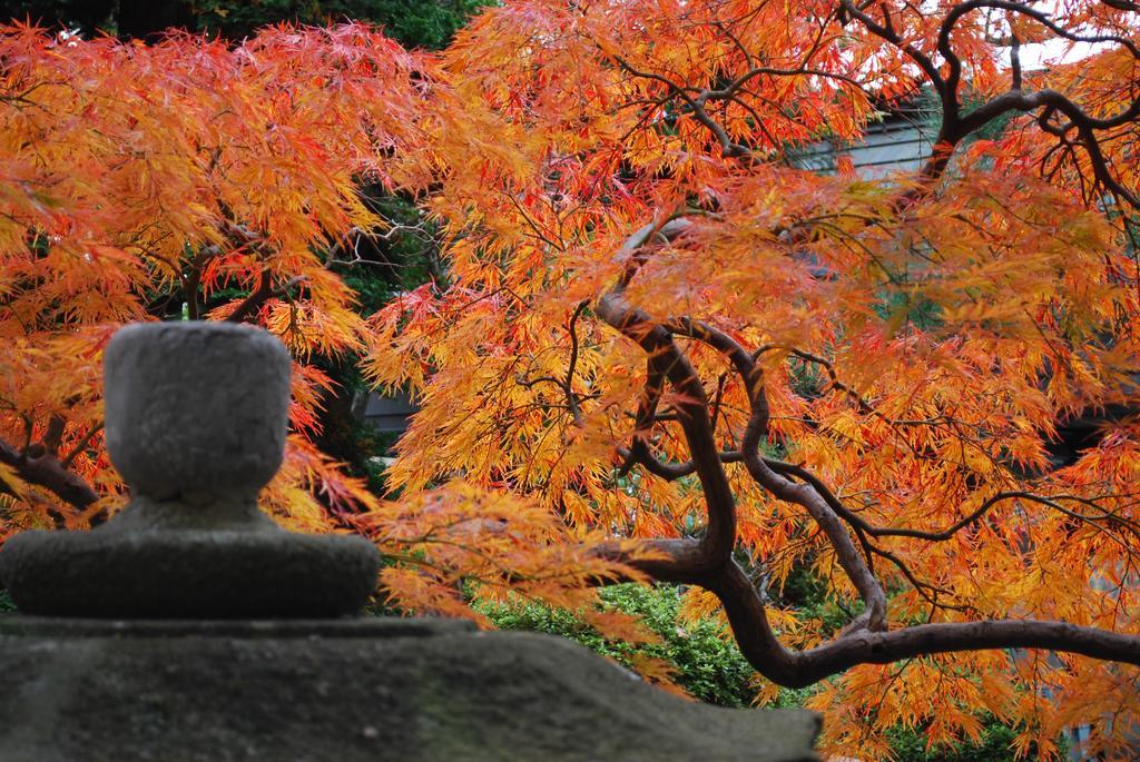 ホテル 錦の湯 地本屋 松本市 エクステリア 写真